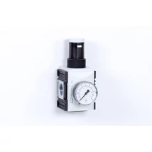 Regulator - 8 bar + Pressure gauge (FS-2)